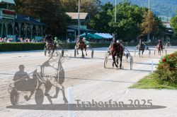 Dateiname=20250810_r05_094_R05_0147.jpg
Dateigröße=429KB
Abmessungen: 1000x667
hinzugefügt am: 16. August 2025 20250810_r05_094_R05_0147.jpg