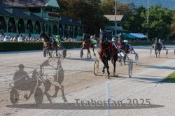 Dateiname=20250810_r05_097_R05_0150.jpg
Dateigröße=397KB
Abmessungen: 1000x667
hinzugefügt am: 16. August 2025 20250810_r05_097_R05_0150.jpg