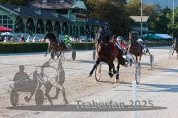 Dateiname=20250810_r05_099_R05_0152.jpg
Dateigröße=419KB
Abmessungen: 1000x667
hinzugefügt am: 16. August 2025 20250810_r05_099_R05_0152.jpg