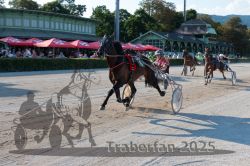 Dateiname=20250810_r05_104_R05_0157.jpg
Dateigröße=366KB
Abmessungen: 1000x667
hinzugefügt am: 16. August 2025 20250810_r05_104_R05_0157.jpg