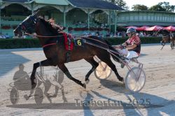 Dateiname=20250810_r05_107_R05_0160.jpg
Dateigröße=344KB
Abmessungen: 1000x667
hinzugefügt am: 16. August 2025 20250810_r05_107_R05_0160.jpg