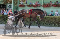 Dateiname=20250810_r05_110_R05_0177.jpg
Dateigröße=380KB
Abmessungen: 1000x667
hinzugefügt am: 16. August 2025 20250810_r05_110_R05_0177.jpg