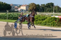 Dateiname=20250810_r06_024_R06_0052.jpg
Dateigröße=340KB
Abmessungen: 1000x667
hinzugefügt am: 17. August 2025 20250810_r06_024_R06_0052.jpg