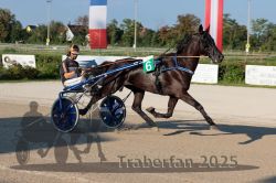 Dateiname=20250810_r06_028_R06_0058.jpg
Dateigröße=319KB
Abmessungen: 1000x667
hinzugefügt am: 17. August 2025 20250810_r06_028_R06_0058.jpg