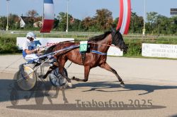 Dateiname=20250810_r06_033_R06_0068.jpg
Dateigröße=327KB
Abmessungen: 1000x667
hinzugefügt am: 17. August 2025 20250810_r06_033_R06_0068.jpg