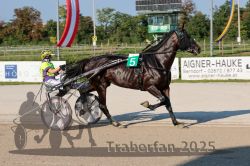 Dateiname=20250810_r06_040_R06_0076.jpg
Dateigröße=336KB
Abmessungen: 1000x667
hinzugefügt am: 17. August 2025 20250810_r06_040_R06_0076.jpg