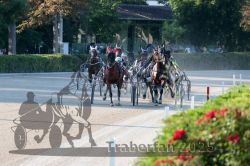 Dateiname=20250810_r06_042_R06_0080.jpg
Dateigröße=343KB
Abmessungen: 1000x667
hinzugefügt am: 17. August 2025 20250810_r06_042_R06_0080.jpg