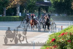 Dateiname=20250810_r06_043_R06_0081.jpg
Dateigröße=346KB
Abmessungen: 1000x667
hinzugefügt am: 17. August 2025 20250810_r06_043_R06_0081.jpg