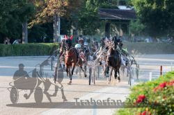 Dateiname=20250810_r06_044_R06_0083.jpg
Dateigröße=339KB
Abmessungen: 1000x667
hinzugefügt am: 17. August 2025 20250810_r06_044_R06_0083.jpg