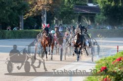 Dateiname=20250810_r06_045_R06_0085.jpg
Dateigröße=349KB
Abmessungen: 1000x667
hinzugefügt am: 17. August 2025 20250810_r06_045_R06_0085.jpg