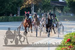 Dateiname=20250810_r06_048_R06_0088.jpg
Dateigröße=348KB
Abmessungen: 1000x667
hinzugefügt am: 17. August 2025 20250810_r06_048_R06_0088.jpg