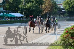 Dateiname=20250810_r06_049_R06_0089.jpg
Dateigröße=432KB
Abmessungen: 1000x667
hinzugefügt am: 17. August 2025 20250810_r06_049_R06_0089.jpg