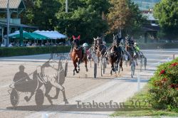 Dateiname=20250810_r06_050_R06_0090.jpg
Dateigröße=432KB
Abmessungen: 1000x667
hinzugefügt am: 17. August 2025 20250810_r06_050_R06_0090.jpg