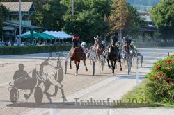 Dateiname=20250810_r06_051_R06_0091.jpg
Dateigröße=434KB
Abmessungen: 1000x667
hinzugefügt am: 17. August 2025 20250810_r06_051_R06_0091.jpg