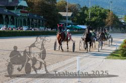 Dateiname=20250810_r06_054_R06_0095.jpg
Dateigröße=435KB
Abmessungen: 1000x667
hinzugefügt am: 17. August 2025 20250810_r06_054_R06_0095.jpg