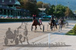 Dateiname=20250810_r06_055_R06_0096.jpg
Dateigröße=426KB
Abmessungen: 1000x667
hinzugefügt am: 17. August 2025 20250810_r06_055_R06_0096.jpg