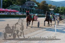 Dateiname=20250810_r06_058_R06_0100.jpg
Dateigröße=409KB
Abmessungen: 1000x667
hinzugefügt am: 17. August 2025 20250810_r06_058_R06_0100.jpg