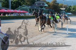 Dateiname=20250810_r06_061_R06_0106.jpg
Dateigröße=423KB
Abmessungen: 1000x667
hinzugefügt am: 17. August 2025 20250810_r06_061_R06_0106.jpg