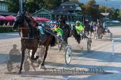 Dateiname=20250810_r06_062_R06_0108.jpg
Dateigröße=423KB
Abmessungen: 1000x667
hinzugefügt am: 17. August 2025 20250810_r06_062_R06_0108.jpg