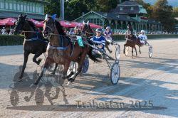 Dateiname=20250810_r06_065_R06_0113.jpg
Dateigröße=430KB
Abmessungen: 1000x667
hinzugefügt am: 17. August 2025 20250810_r06_065_R06_0113.jpg