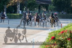 Dateiname=20250810_r06_066_R06_0115.jpg
Dateigröße=345KB
Abmessungen: 1000x667
hinzugefügt am: 17. August 2025 20250810_r06_066_R06_0115.jpg