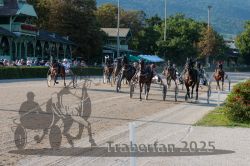 Dateiname=20250810_r06_081_R06_0132.jpg
Dateigröße=421KB
Abmessungen: 1000x667
hinzugefügt am: 17. August 2025 20250810_r06_081_R06_0132.jpg