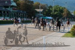 Dateiname=20250810_r06_083_R06_0134.jpg
Dateigröße=408KB
Abmessungen: 1000x667
hinzugefügt am: 17. August 2025 20250810_r06_083_R06_0134.jpg