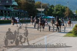 Dateiname=20250810_r06_084_R06_0135.jpg
Dateigröße=421KB
Abmessungen: 1000x667
hinzugefügt am: 17. August 2025 20250810_r06_084_R06_0135.jpg