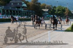 Dateiname=20250810_r06_085_R06_0136.jpg
Dateigröße=421KB
Abmessungen: 1000x667
hinzugefügt am: 17. August 2025 20250810_r06_085_R06_0136.jpg