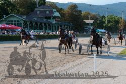 Dateiname=20250810_r06_087_R06_0138.jpg
Dateigröße=418KB
Abmessungen: 1000x667
hinzugefügt am: 17. August 2025 20250810_r06_087_R06_0138.jpg