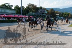 Dateiname=20250810_r06_091_R06_0142.jpg
Dateigröße=370KB
Abmessungen: 1000x667
hinzugefügt am: 17. August 2025 20250810_r06_091_R06_0142.jpg