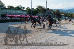 Dateiname=20250810_r06_092_R06_0143.jpg
Dateigröße=380KB
Abmessungen: 1000x667
hinzugefügt am: 17. August 2025 20250810_r06_092_R06_0143.jpg