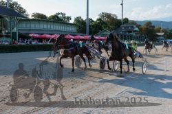 Dateiname=20250810_r06_093_R06_0144.jpg
Dateigröße=384KB
Abmessungen: 1000x667
hinzugefügt am: 17. August 2025 20250810_r06_093_R06_0144.jpg