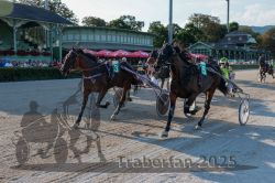 Dateiname=20250810_r06_094_R06_0145.jpg
Dateigröße=369KB
Abmessungen: 1000x667
hinzugefügt am: 17. August 2025 20250810_r06_094_R06_0145.jpg