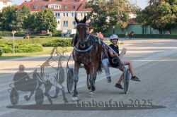 Dateiname=20250810_r06_112_R06_0174.jpg
Dateigröße=372KB
Abmessungen: 1000x667
hinzugefügt am: 17. August 2025 20250810_r06_112_R06_0174.jpg