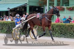 Dateiname=20250810_r08_014_R07_0267.jpg
Dateigröße=350KB
Abmessungen: 1000x667
hinzugefügt am: 17. August 2025 20250810_r08_014_R07_0267.jpg