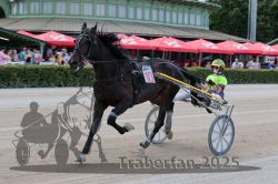 Dateiname=20250810_r08_061_R07_0340.jpg
Dateigröße=296KB
Abmessungen: 1000x667
hinzugefügt am: 17. August 2025 20250810_r08_061_R07_0340.jpg