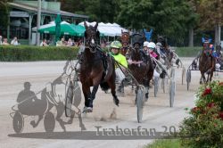 Dateiname=20250810_r08_066_R07_0346.jpg
Dateigröße=337KB
Abmessungen: 1000x667
hinzugefügt am: 17. August 2025 20250810_r08_066_R07_0346.jpg