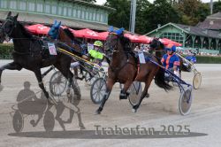 Dateiname=20250810_r08_080_R07_0366.jpg
Dateigröße=361KB
Abmessungen: 1000x667
hinzugefügt am: 17. August 2025 20250810_r08_080_R07_0366.jpg