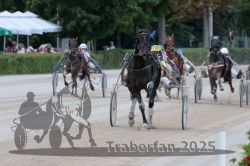 Dateiname=20250810_r08_088_R07_0376.jpg
Dateigröße=267KB
Abmessungen: 1000x667
hinzugefügt am: 17. August 2025 20250810_r08_088_R07_0376.jpg