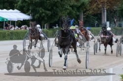 Dateiname=20250810_r08_089_R07_0377.jpg
Dateigröße=284KB
Abmessungen: 1000x667
hinzugefügt am: 17. August 2025 20250810_r08_089_R07_0377.jpg