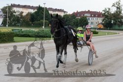 Dateiname=20250810_r08_134_R07_0452.jpg
Dateigröße=299KB
Abmessungen: 1000x667
hinzugefügt am: 17. August 2025 20250810_r08_134_R07_0452.jpg