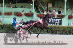 Dateiname=20250810_r09_023_R08_0042.jpg
Dateigröße=345KB
Abmessungen: 1000x667
hinzugefügt am: 17. August 2025 20250810_r09_023_R08_0042.jpg