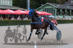 Dateiname=20250810_r09_025_R08_0046.jpg
Dateigröße=303KB
Abmessungen: 1000x667
hinzugefügt am: 17. August 2025 20250810_r09_025_R08_0046.jpg