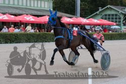 Dateiname=20250810_r09_026_R08_0047.jpg
Dateigröße=299KB
Abmessungen: 1000x667
hinzugefügt am: 17. August 2025 20250810_r09_026_R08_0047.jpg