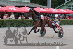 Dateiname=20250810_r09_027_R08_0050.jpg
Dateigröße=269KB
Abmessungen: 1000x667
hinzugefügt am: 17. August 2025 20250810_r09_027_R08_0050.jpg