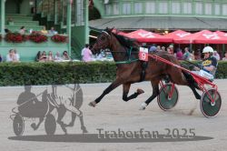 Dateiname=20250810_r09_029_R08_0053.jpg
Dateigröße=290KB
Abmessungen: 1000x667
hinzugefügt am: 17. August 2025 20250810_r09_029_R08_0053.jpg