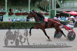 Dateiname=20250810_r09_030_R08_0054.jpg
Dateigröße=292KB
Abmessungen: 1000x667
hinzugefügt am: 17. August 2025 20250810_r09_030_R08_0054.jpg