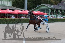 Dateiname=20250810_r09_032_R08_0059.jpg
Dateigröße=311KB
Abmessungen: 1000x667
hinzugefügt am: 17. August 2025 20250810_r09_032_R08_0059.jpg