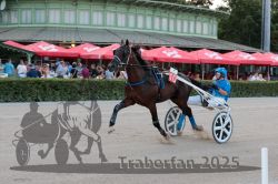 Dateiname=20250810_r09_035_R08_0062.jpg
Dateigröße=303KB
Abmessungen: 1000x667
hinzugefügt am: 17. August 2025 20250810_r09_035_R08_0062.jpg